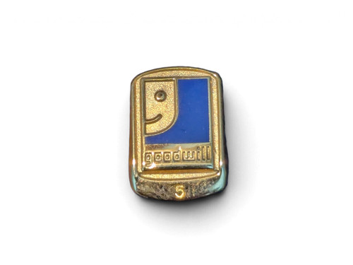 Goodwill pin year - 5,